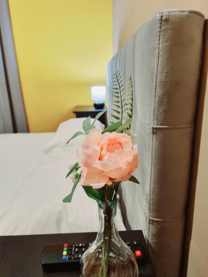 Rose Inn Guest House 피사 외부 사진